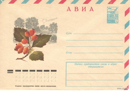 Конверт СССР АВИА, Боярышник, 1978 г