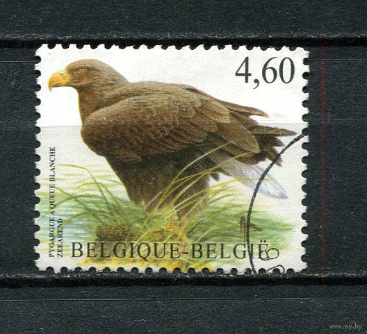 Бельгия - 2009 - Птица - [Mi. 3917] - полная серия - 1 марка. Гашеная.  (Лот 12EB)-T7P3