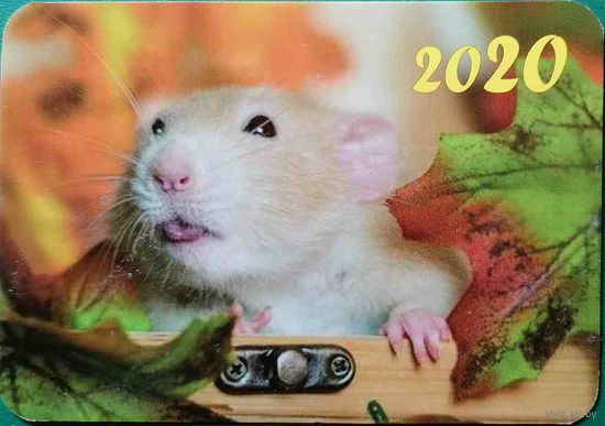 Календарик Крыса