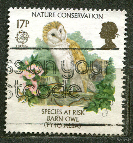 Фауна. Сова. Сохраним природу. EUROPA CEPT. 1986. Великобритания
