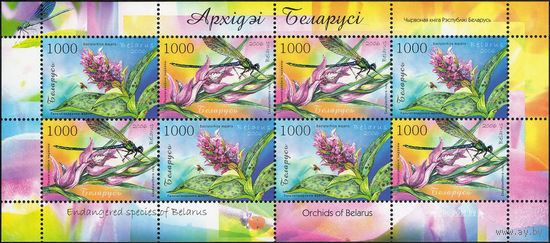 Орхидеи Беларусь 2006 год (670-672)  серия из 3-х марок в листе