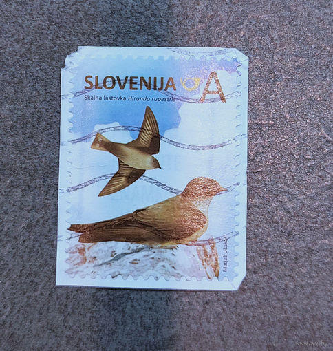 Словения 2014. Стандарт. Птицы