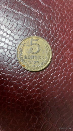 Монета 5 копеек 1987г. СССР.