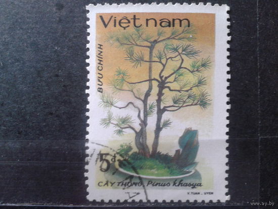 Вьетнам 1986 Бонсай