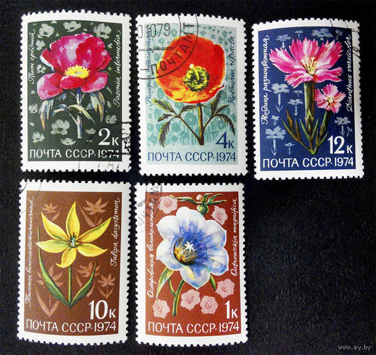 СССР 1974 г. Цветы. Флора, полная серия из 5 марок #0006-Ф2P2