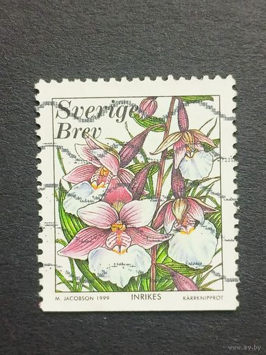 Швеция 1999. Орхидеи