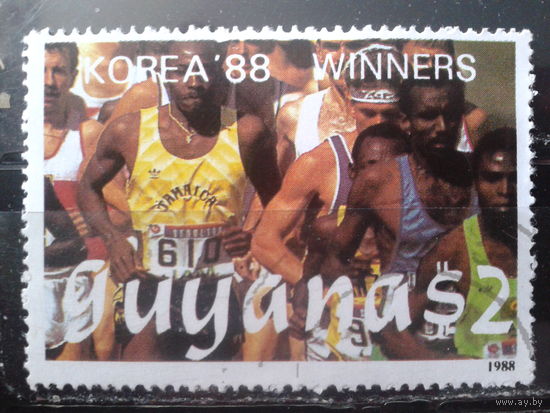 Гайяна 1989 Корея-88 Спорт Михель-3,6 евро гаш