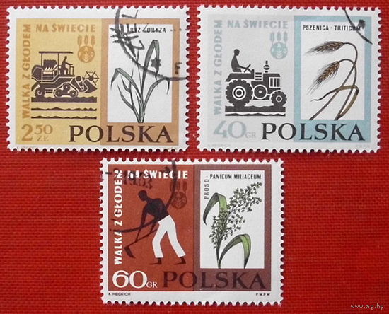 Польша. Сельское хозяйство. ( 3 марки ) 1963 года.