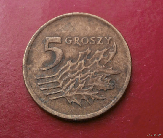 5 грошей 1991 Польша #11
