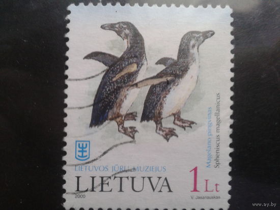 Литва 2000 Пингвины
