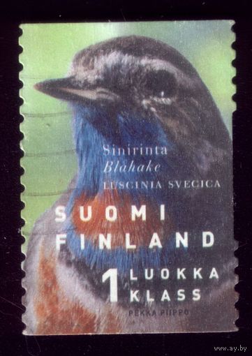 1 марка 1999 год Финляндия 1462
