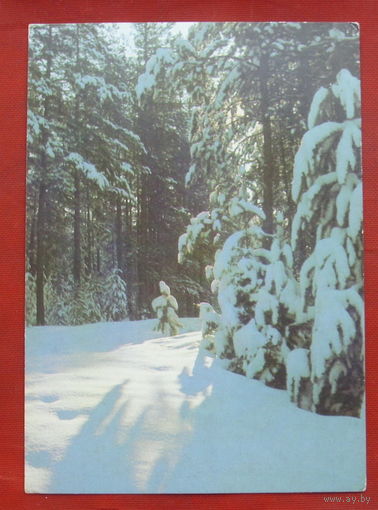 Зимний лес. Чистая. 1986 года. Фото Пушкина. *102.