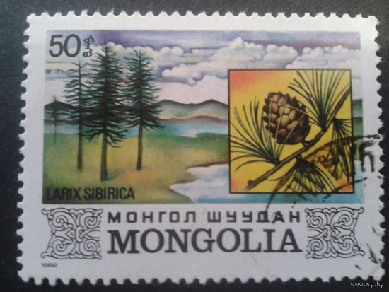 Монголия 1982 флора Монголии