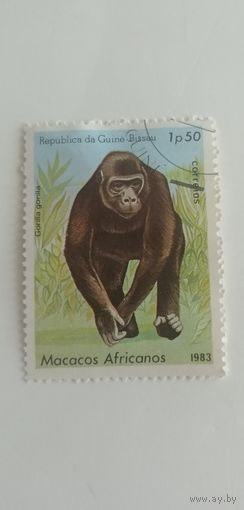 Гвинея Бисау 1983. Африканские приматы