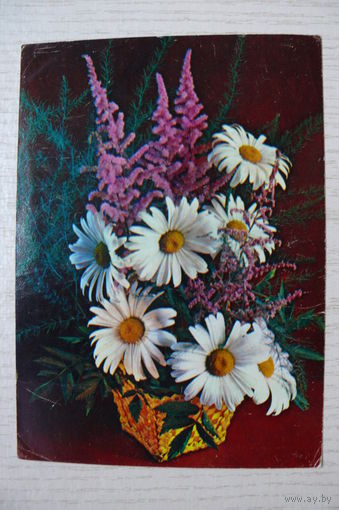 Костенко Г., Композиция из цветов; 1984, чистая.