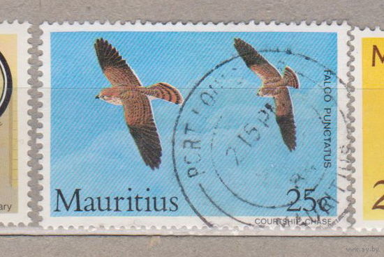 Птицы фауна Маврикийская пустельга  Маврикий 1984 год  лот 16