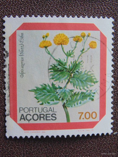 Португалия 1981 г. Флора.