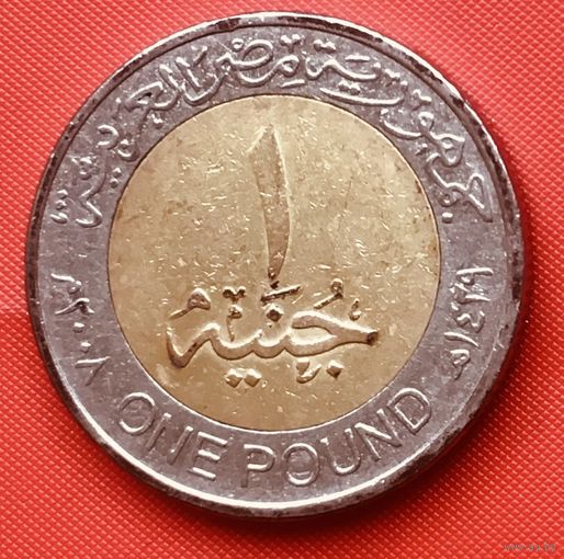 23-11 Египет, 1 фунт 2008 г.
