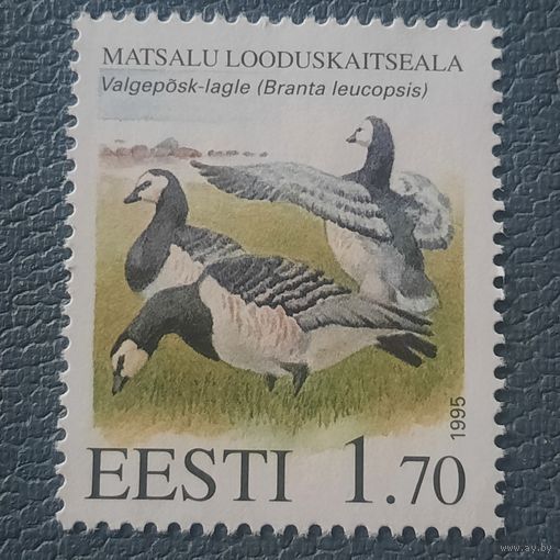 Эстония 1995. Фауна. Дикие утки