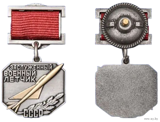 Копия Знак Заслуженный военный летчик СССР