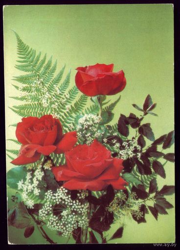1990 год И.Дергилёв Розы чист