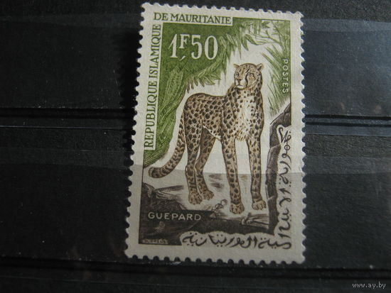 Марки - фауна, дикие кошки, Мавритания. чистая, гепард