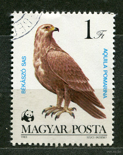 Хищные птицы. Орел. Венгрия. 1983