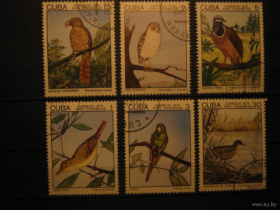 Марки - фауна, птицы, Куба, 6 шт 1975