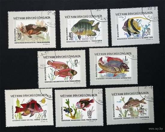 Вьетнам 1976 г. Рыбы. Морская фауна, полная серия из 8 марок #0083-Ф2P15
