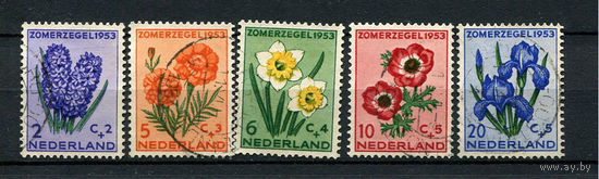 Нидерланды - 1953 - Цветы - [Mi. 607-611] - полная серия - 5 марок. Гашеные.  (Лот 9D)
