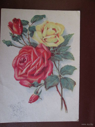 Почтовая открытка.1955г.