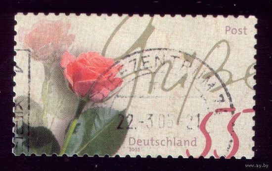 1 марка 2003 год Германия 2317