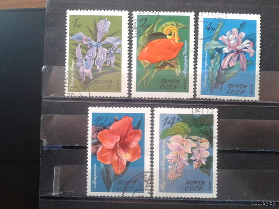 1971 Тропические цветы Полная серия