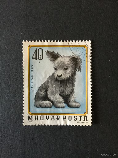 Щенок. Венгрия,1974, марка из серии