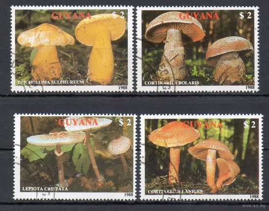 Грибы Гайана 1989 год серия из 4-х марок
