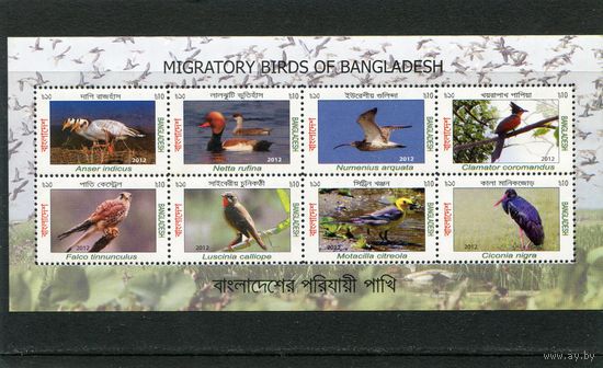 Бангладеш. Певчие птицы