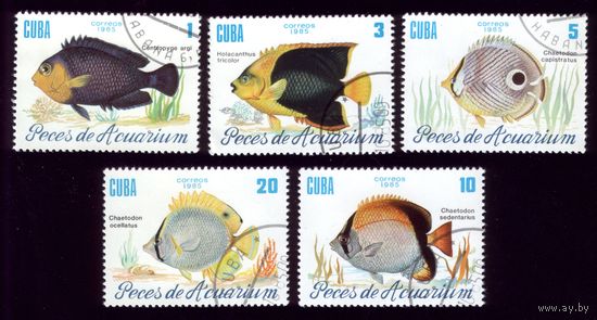 5 марок 1985 год Куба Рыбы 2965-2969