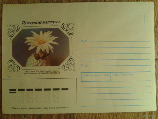 1983 не маркированный конверт Пелецифора
