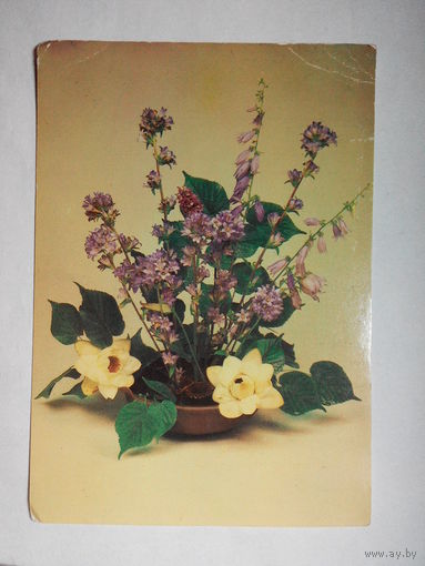 Шаров Ю., Цветы 1987 год. Чистая #0059-FL1P30