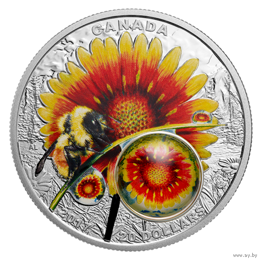 Канада 20 долларов 2017г. 3D капля "Красота под солнцем". Монета в капсуле; подарочном футляре; номерной сертификат; коробка. СЕРЕБРО 31,39гр.(1 oz).