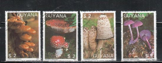 Гайана-1988,(Мих.2080-2083) гаш.,   Флора, Грибы