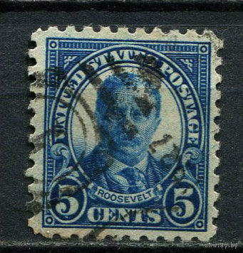 США - 1922/1934 - Теодор Рузвельт 5С - [Mi.267C] - 1 марка. Гашеная.  (Лот 33Dj)