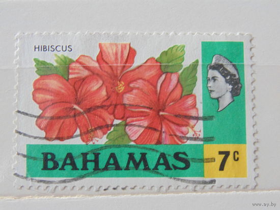 Багамы 1971 г. Флора.