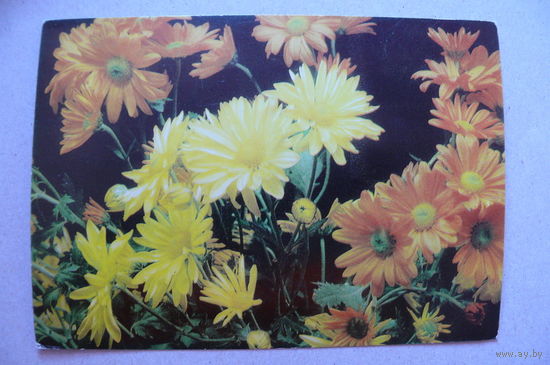 Цветы (9), 1984, чистая (Болгария).
