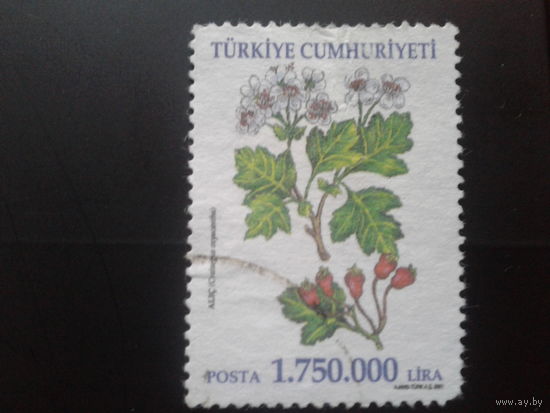 Турция 2001 цветы Mi-6,0 евро гаш.