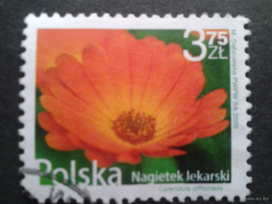 Польша 2009 стандарт, цветы