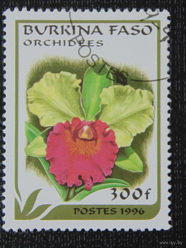 Буркина - Фасо 1996г. Флора.