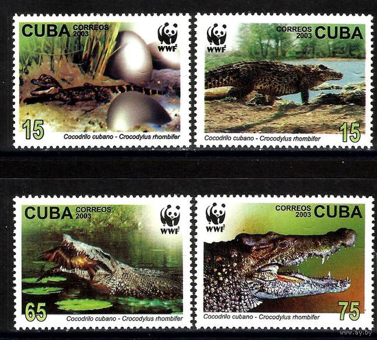 Куба. 2003. Фауна. Крокодилы