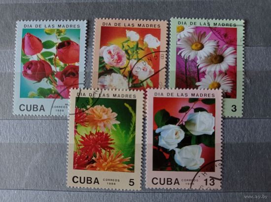 Куба 1988. Цветы