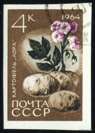 Сельскохозяйственные культуры СССР 1964 год 1 марка
